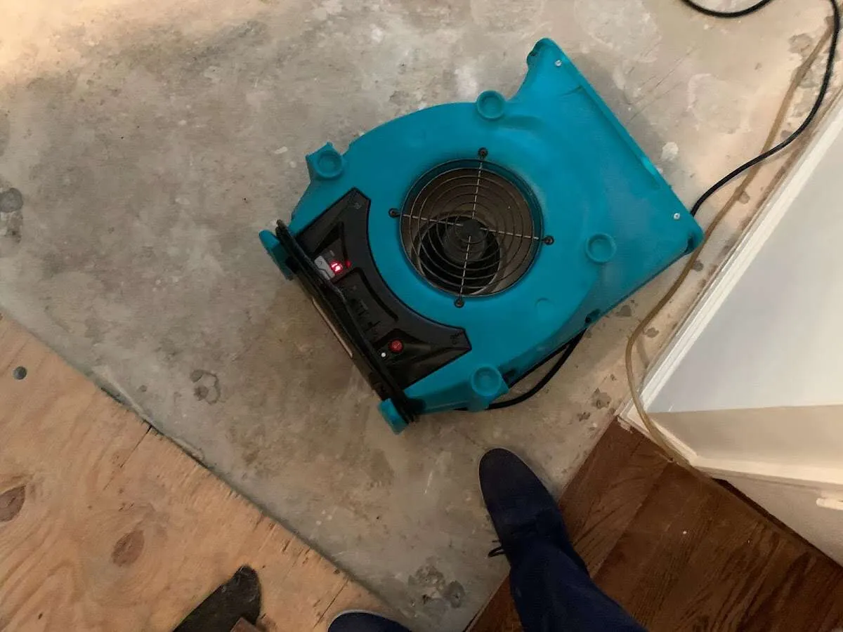 Air mover drying subfloor during Commercial Water Damage Restoration in College Park
